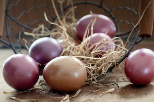 Пасхальное аграрное чтиво easter eggs