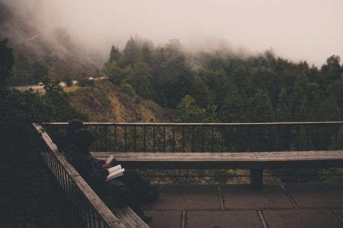 По-зимнему свежий выпуск ПочНаВых reading