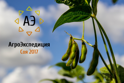 АгроЭкспедиция Соя 2017 Соя 2017