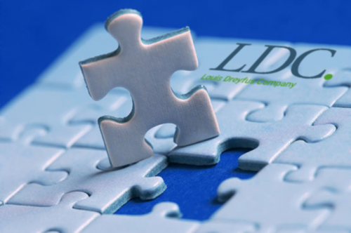 Louis Dreyfus Company Louis Dreyfus Company Puzzle