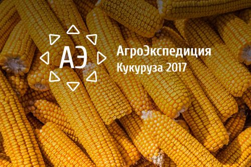 АгроЭкспедиция Кукуруза 2017 АгроЭкспедиция Кукуруза 2017