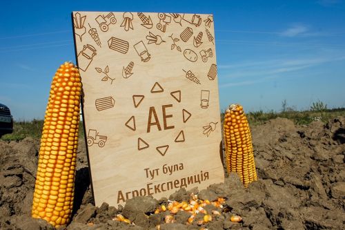 АгроЭкспедиция Кукуруза 2017 Кукуруза