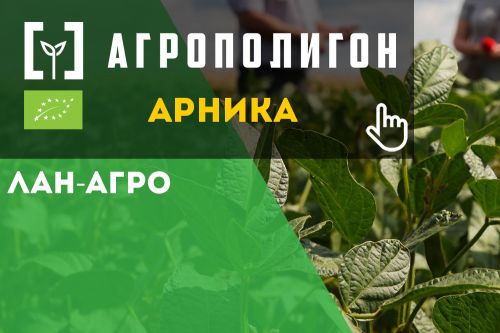 АгроПолигон Арника АгроПолигон Арника Соя