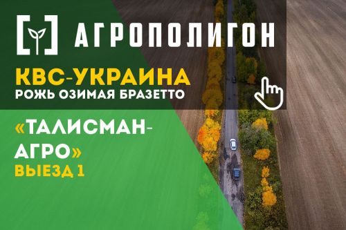 АгроПолигон КВС-УКРАИНА Озимая рожь