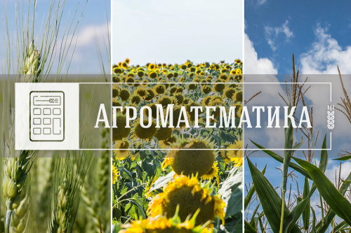 АгроМатематика АгроМатематика