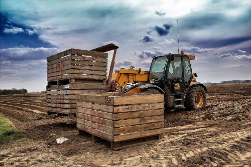 Картофель Погрузчик JCB