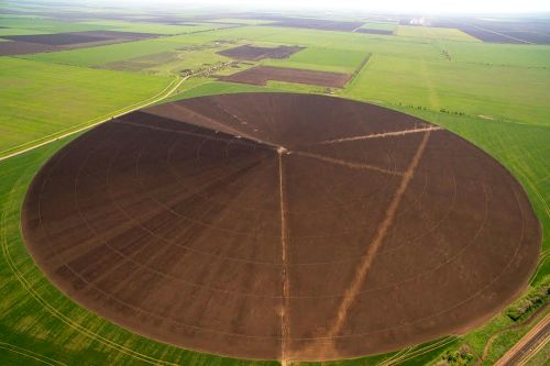 Поле агрохолдинга Agromino Поле агрохолдинга Agromino