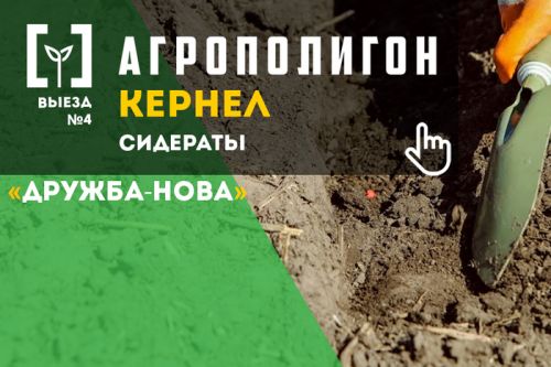 АгроПолигон Кернел Сидераты Вторая декада апреля - пора сеять АгроПолигон Кернел Сидераты Вторая декада апреля - пора сеять