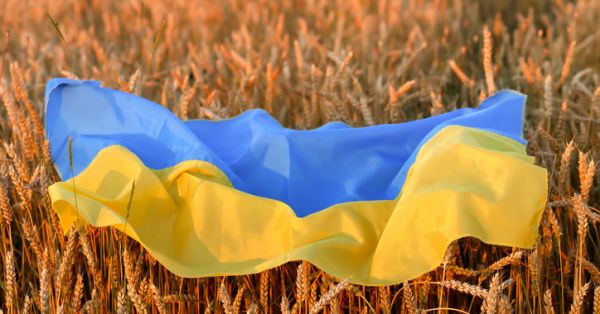 Ефект метелика, або Як війна в Україні провокує світову продовольчу кризу