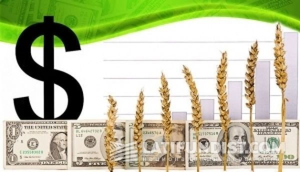 Цены на зерно растут