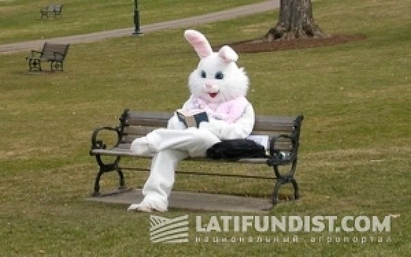 Easter bunny, skydancingblog.com