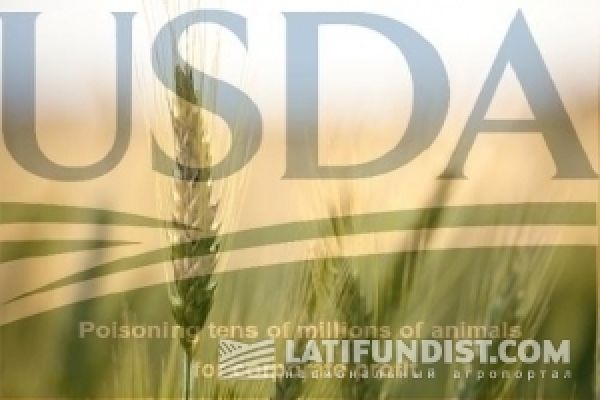 Отчет USDA подтвердил ожидания рынка