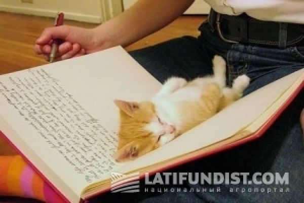 Читаем свежий выпуск аграрного чтива и уважительно относимся к кошкам! :)