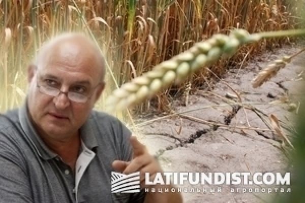 USDA снова посчитал зерно. По-ноябрьски