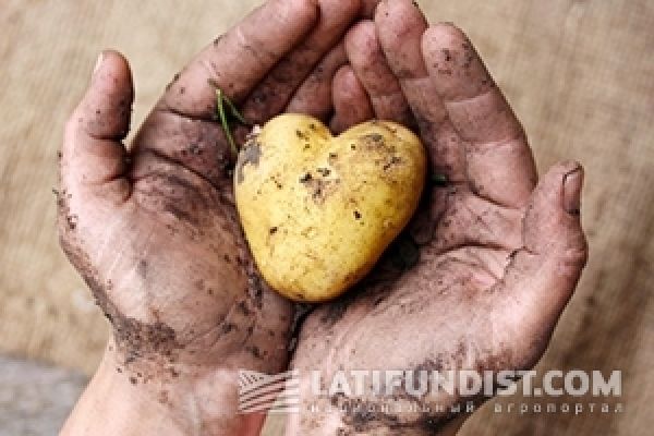 Аграрная неделя: Из АПК с любовью 