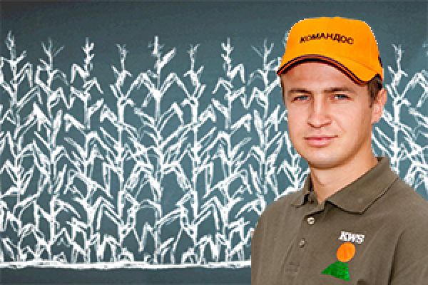 Сергей Красновский, продукт-менеджер отдела кукурузы и масличных культур компании «КВС-Украина»