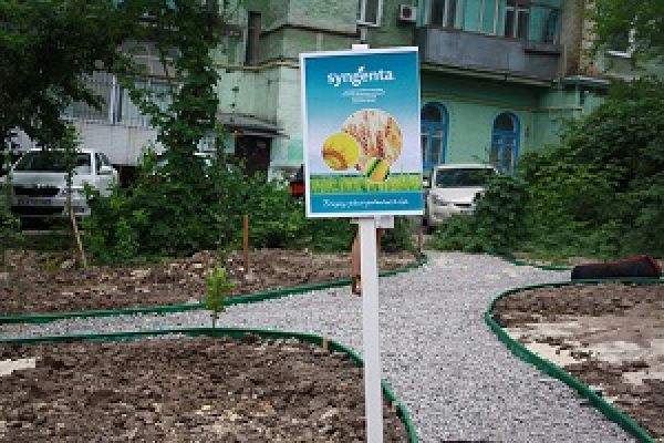 Общественный огород в Киеве — похозяйничать может каждый