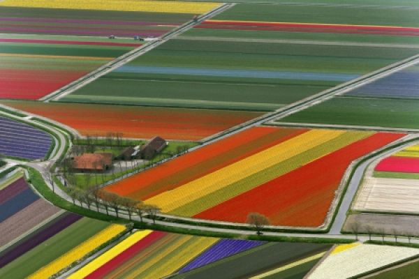 Голландия, земледелие, точность и стратегия