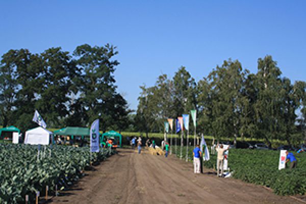 Агрокорпорация Днипро: Талант собирать по два урожая с поля