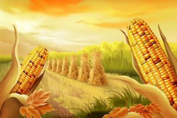 Agroweekend: Памятники кукурузе