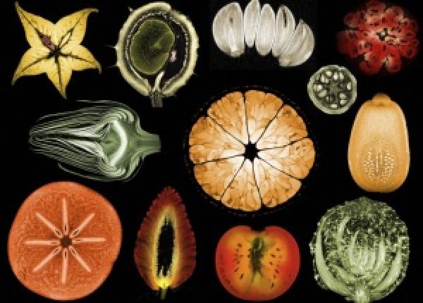 Agroweeked: Волшебные МРТ: невероятный внутренний мир овощей