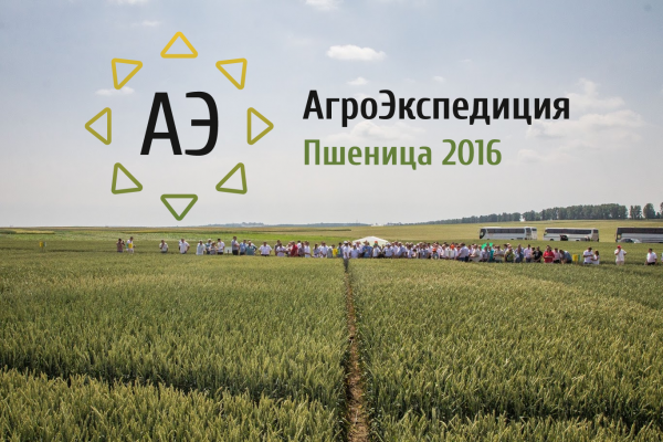 День 4. Волынь и Черкасская область: Хорошая пшеница начинается с качественных семян