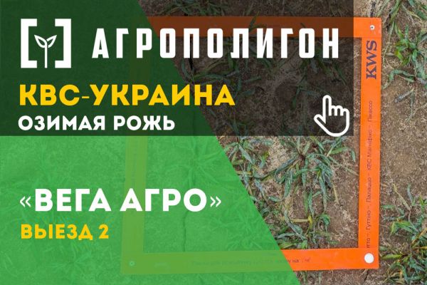 КВС-Украина проверяет состояние посевов озимой ржи