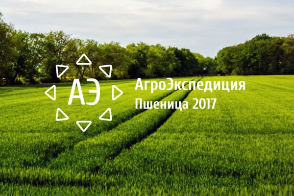 Агроэкспедиция Пшеница 2017