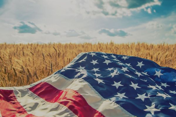 Американский флаг в поле пшеницы