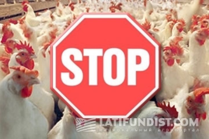 Аграрная неделя: Украинская курятина. Экспорт закрыт!