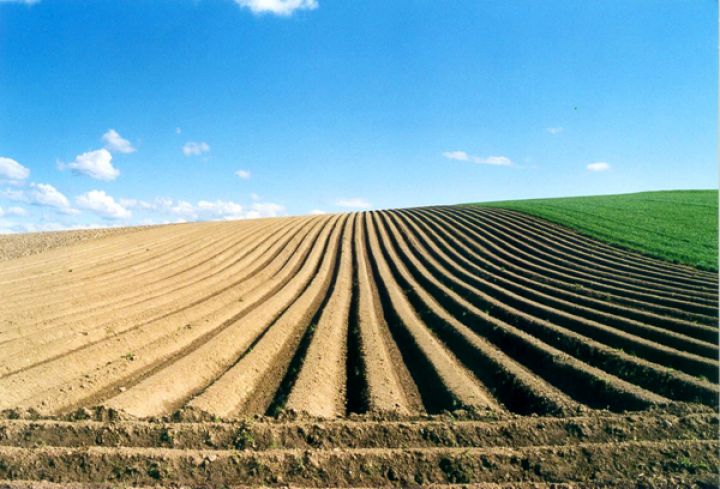 Секвестр земельного банка агрохолдингов: чистая экономика или эффект войны? 