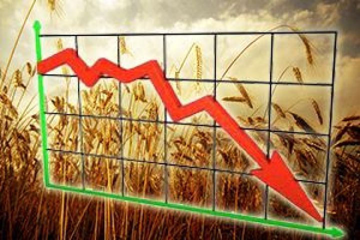 Новый урожай в Украине и в мире будет на 9 млн т меньше