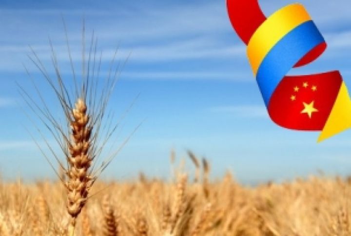 Украинская сельхозпродукция пробивается на рынок Поднебесной