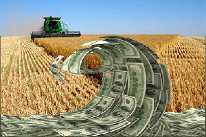 Чего ждать аграриям от колебаний курса доллара?