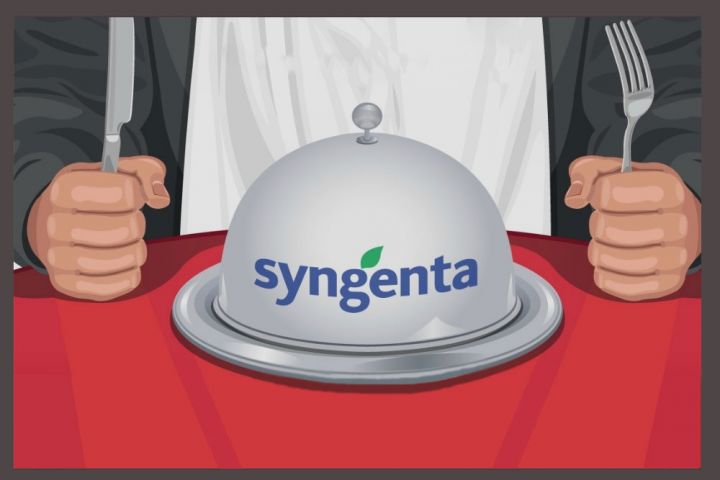 Конфликт с Syngenta в США