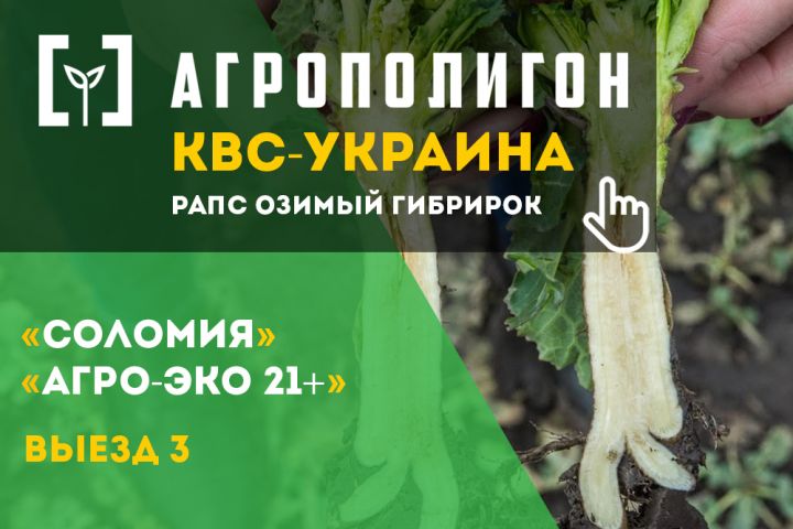 АгроПолигон КВС-УКРАИНА рапс