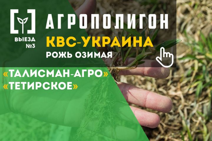 АгроПолигон КВС-УКРАИНА рожь