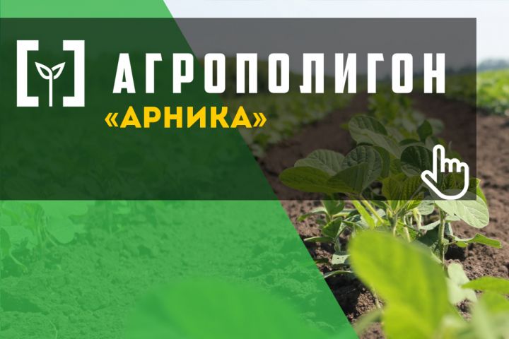 Arnika is the largest organic producer in Ukraine located in Poltava region