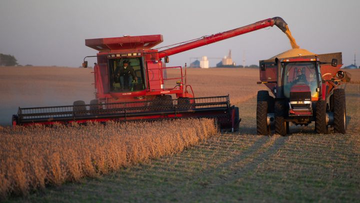 US farmers harvesting soybean