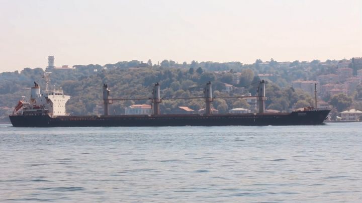 Судно «Міхаіл Ненашев», яке використовується для перевезення зерна з Криму до Туреччини