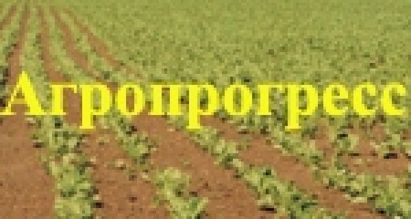 Грант на реализацию проектов агропрогресс