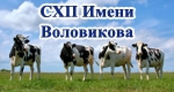1с бухгалтерия уфа