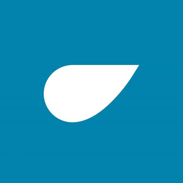 Арніка — Latifundist.com
