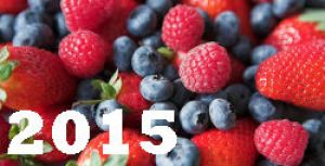 Ягоды Украины 2015: заморозка и свежий рынок