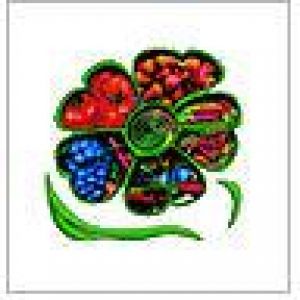 Сад-Огород 2015