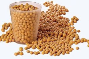 Технологии для лидеров: инновационно, эффективно, прибыльно