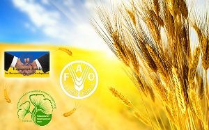 Тренинг для фермеров от СНАУ и ФАО