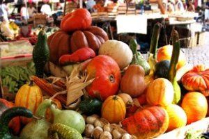 Выставка-ярмарка сельхозпродукции и посадочного материала