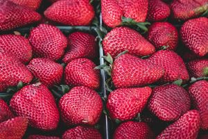 Промышленное ягодоводство — 2018: Успешные технологии
