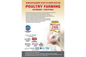 Poultry Farming. Бройлер/Несушка